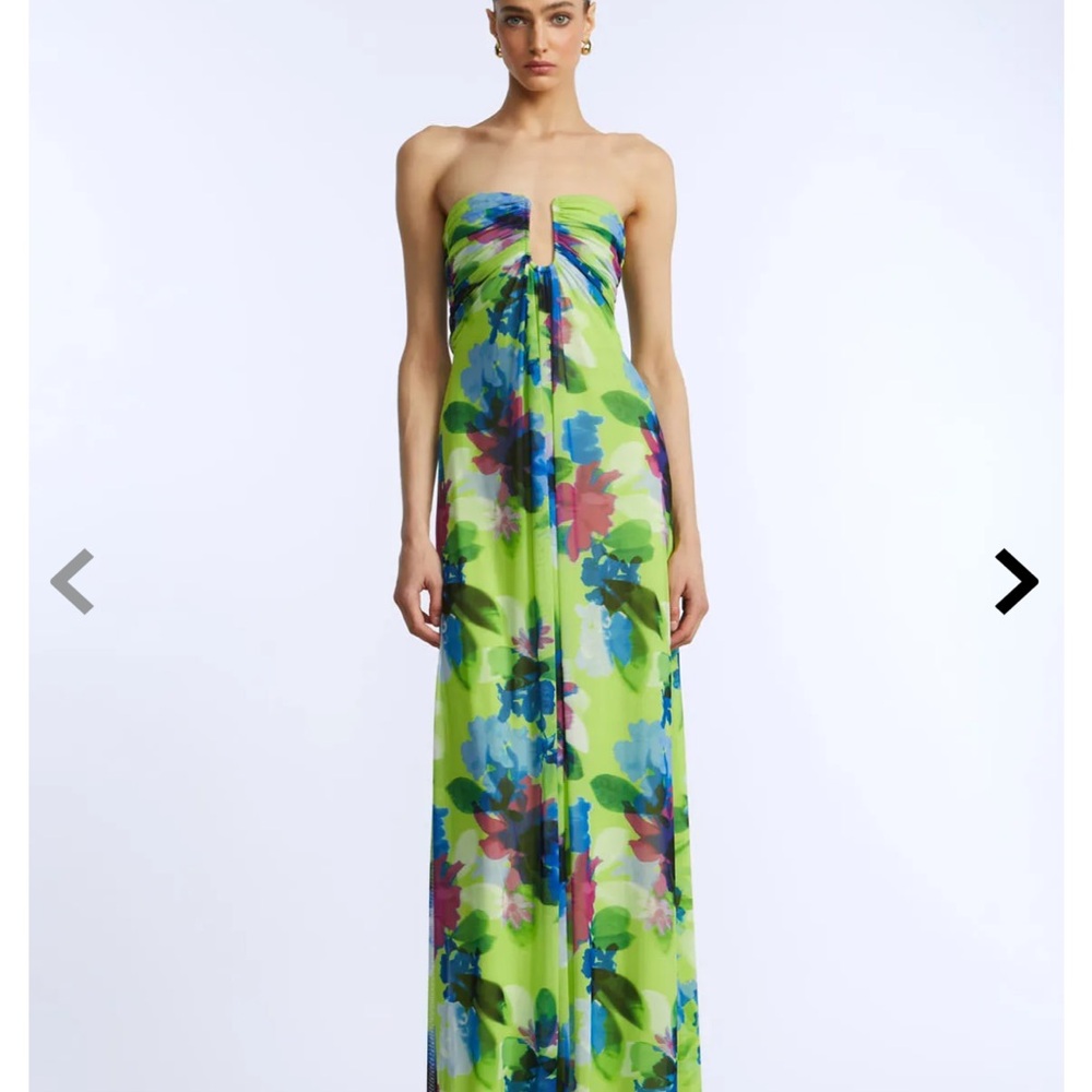 BCBGMaxAzria Strapless Dress - Green and Blue Floral